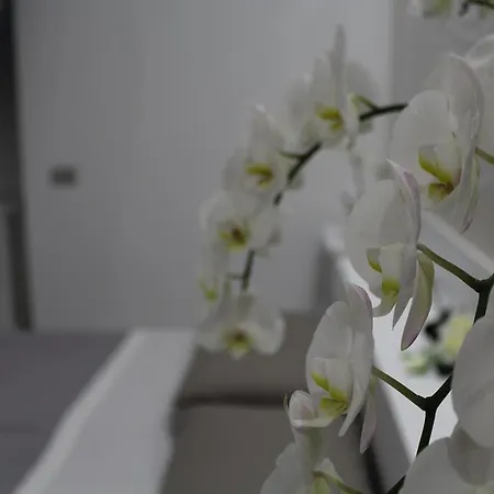 Lei Casa Vacanze Semesterbostad Matera