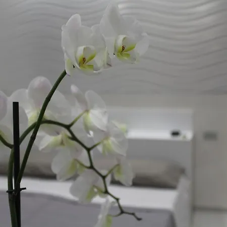 Ferienhaus Lei Casa Vacanze Matera