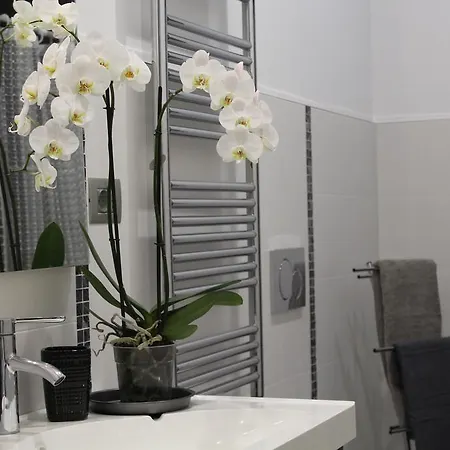 Lei Casa Vacanze *